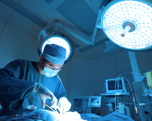 Multi-Speciality Hospital Services