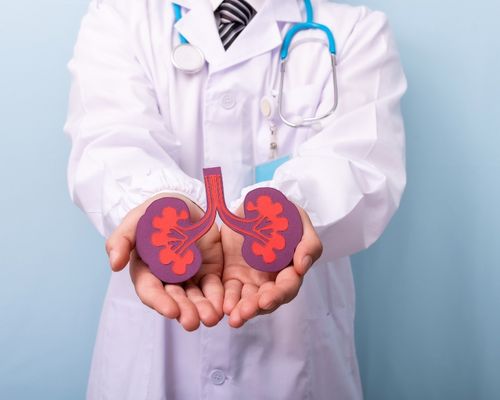 Multi-Speciality Hospital Services